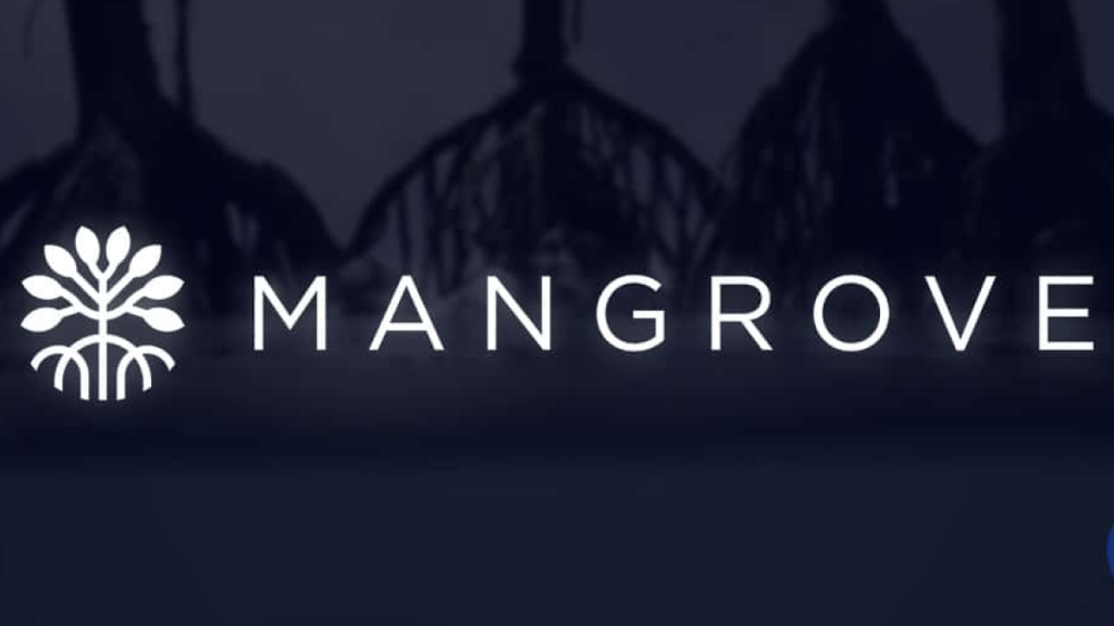 Decentralized exchange Mangrove raised $7.4 million in a Series A round