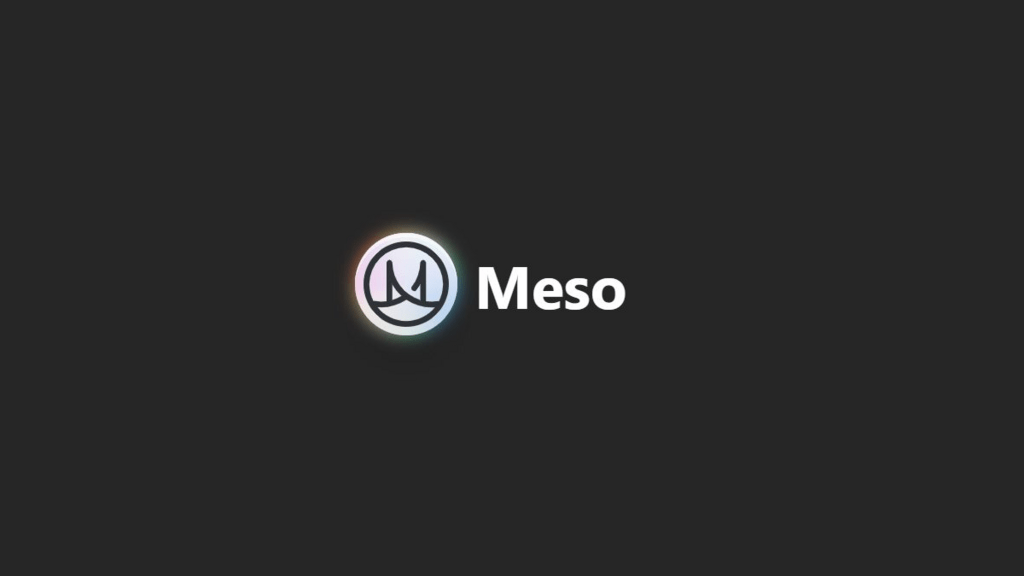 Meso, a Fintech platform that provides integration via its SDKs, raised $9.50 million in a seed fundraising round