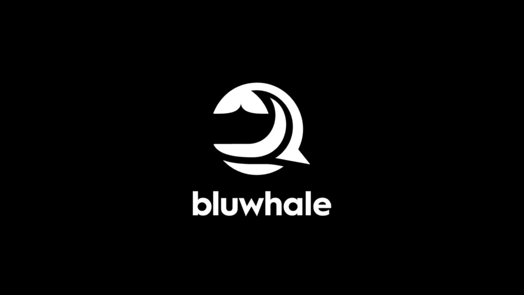 Bluwhale, the Decentralised AI personalisation protocol for blockchains, raised $7 million in a seed fundraising round